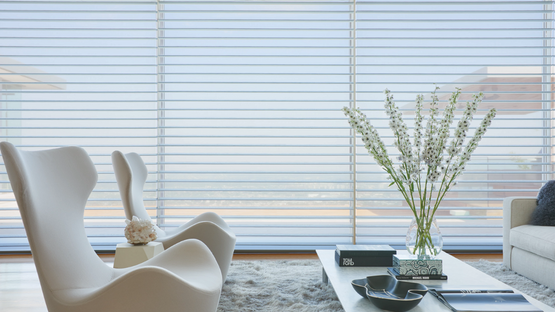 Sheer Shades Living Room