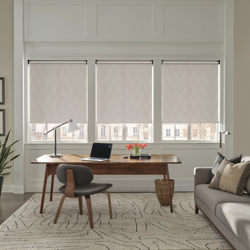 Office with 3 roller shades lightly patterned on windows