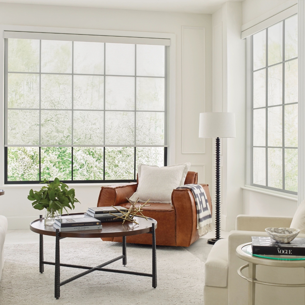 Living room with screen shades, light filtering in living room shades 25% open