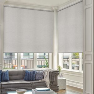 Living room roller shade with a neutral colour 33% open in living room