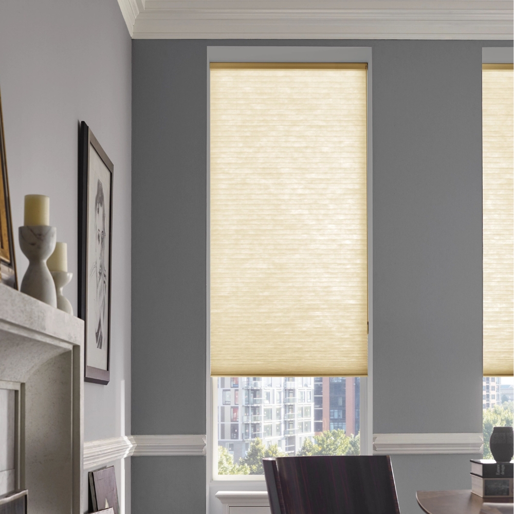 Applause Honeycomb Shades in office 30% open with city building in view