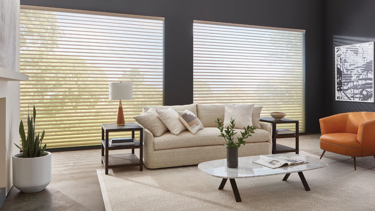 Hunter Douglas taupe nantucket sheer shades open in living behind side table with lamp beside sofa