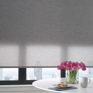 designer roller shade with dual roller liner 1/3 down